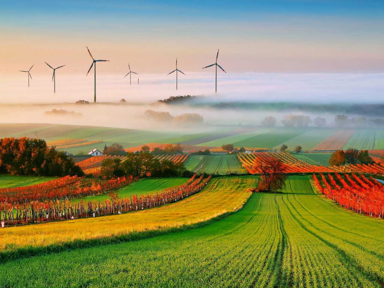 Aerial view of vibrant farmland with wind turbines - Ernest Chemical crop protection solutions supporting sustainable agriculture worldwide